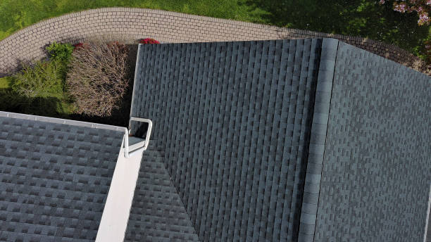 Best Roof Moss and Algae Removal  in Willow Park, TX