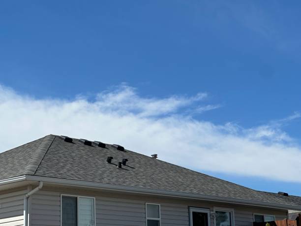 Best Roof Maintenance and Cleaning  in Willow Park, TX